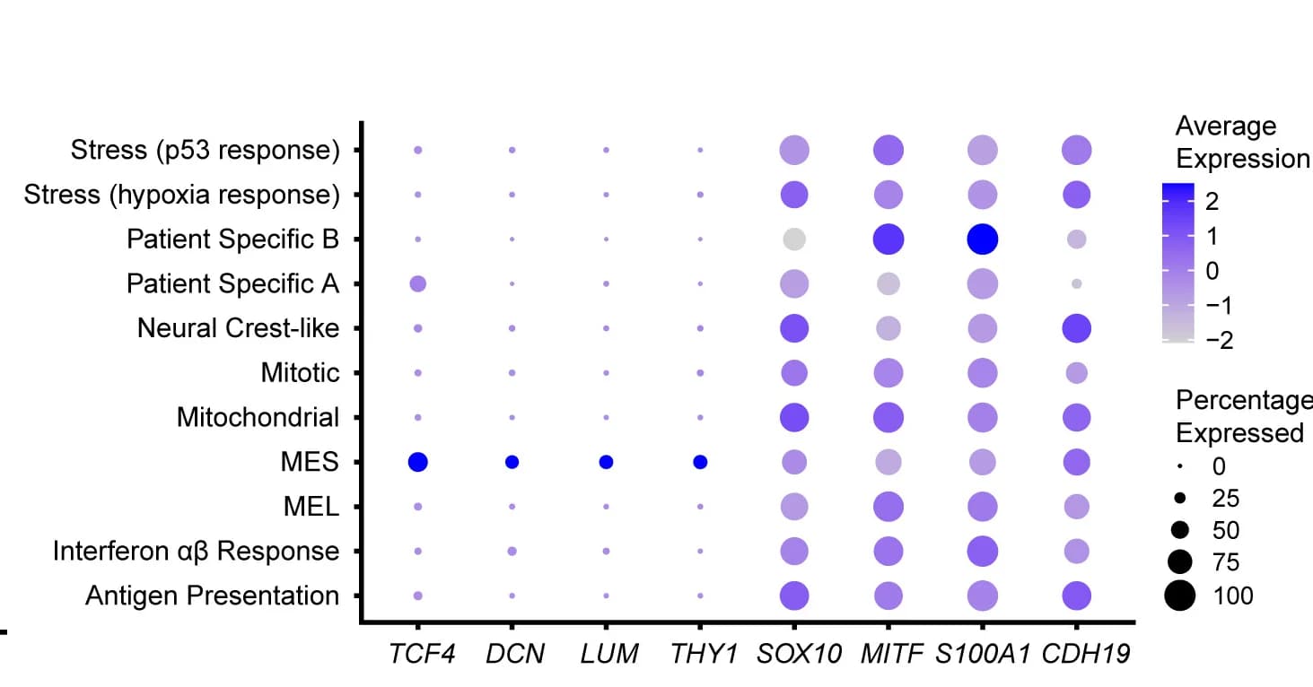 Open access visualization of Bubble Plot, Heatmap, Marker Genes, Malignant Cell States, Expression Levels