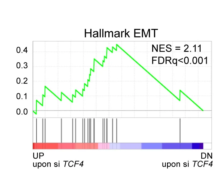 Open access visualization of Line Plot, Line Step, Gene Set Enrichment Analysis, EMT, Differentially Expressed Genes