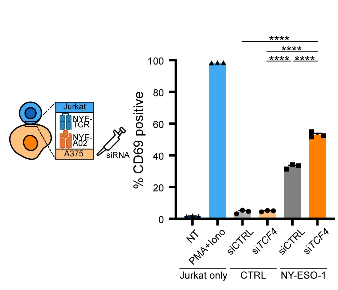 Open access visualization of Bar Plot, Error Bars, Co-Culture, Melanoma Cells, NY-ESO1 Antigen