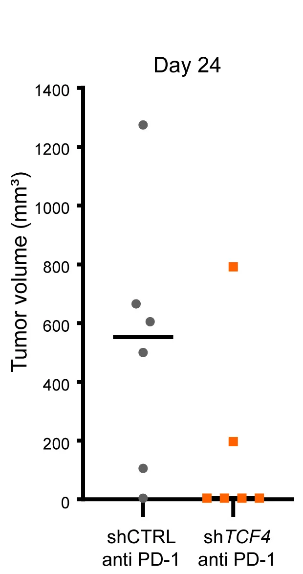 Open access visualization of Scatter Plot, Tumor Volume, Anti-PD-1