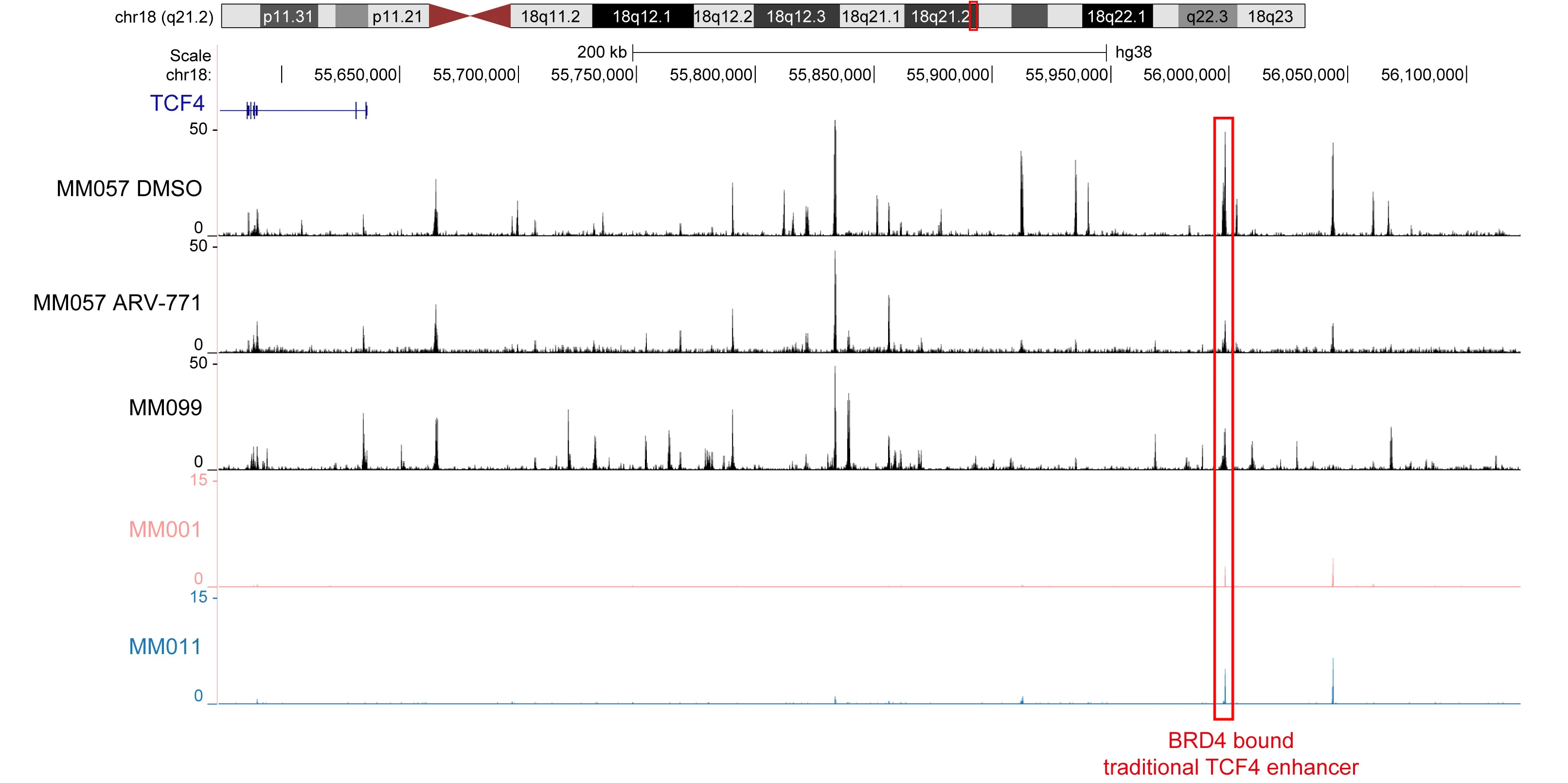 Open access visualization of Line Plot, ATAC-seq Peaks, Chromatin Accessibility, TCF4 Locus, MM057 Cells