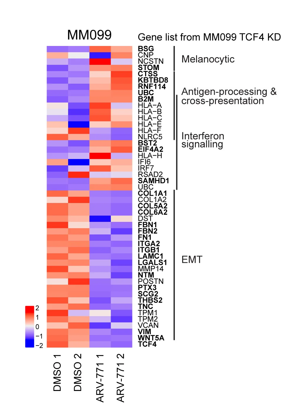 Open access visualization of Heatmap, Differentially Expressed Genes, MM099 Cells, ARV-771, Bulk RNA-seq