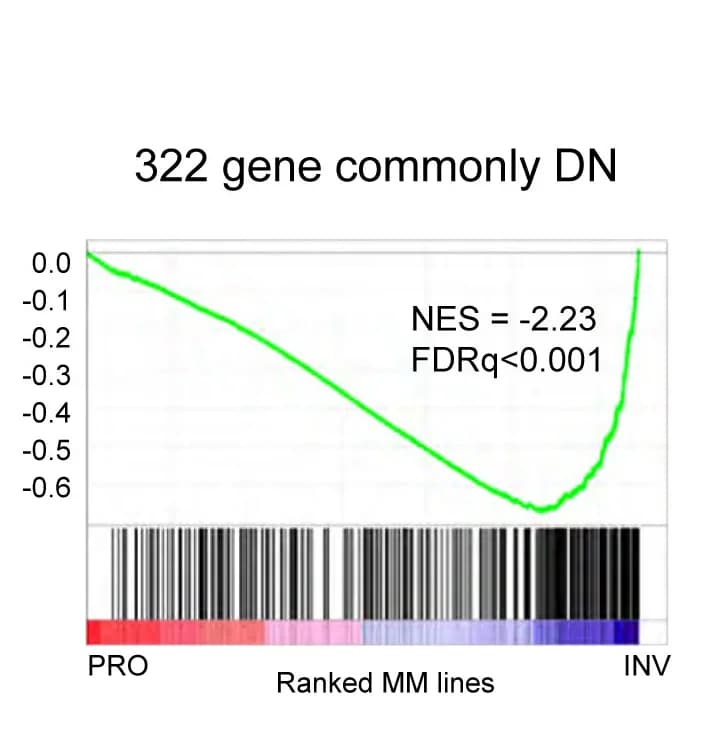 Open access visualization of Line Plot, GSEA Plot, Regulated Genes, Invasive Genes, Proliferative Genes