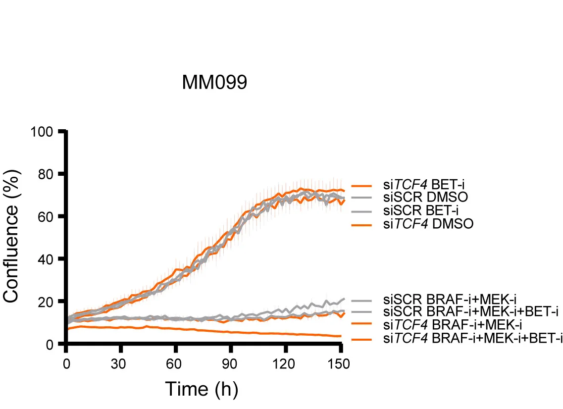 Open access visualization of Line Plot, Error Bars, Growth Curves, MM099 Cells, BET Inhibitor