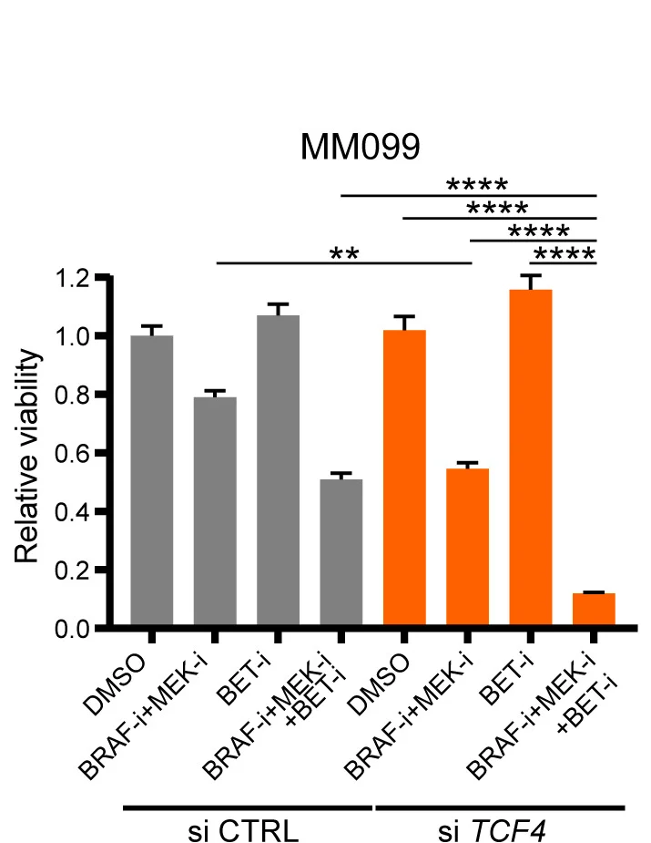 Open access visualization of Bar Plot, Error Bars, Cell Viability, MM099 Cells, BET Inhibitor
