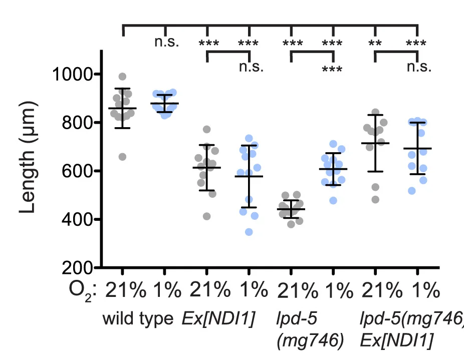 Open access visualization of Scatter Plot, Error Bars, Animal Growth, Room Temperature