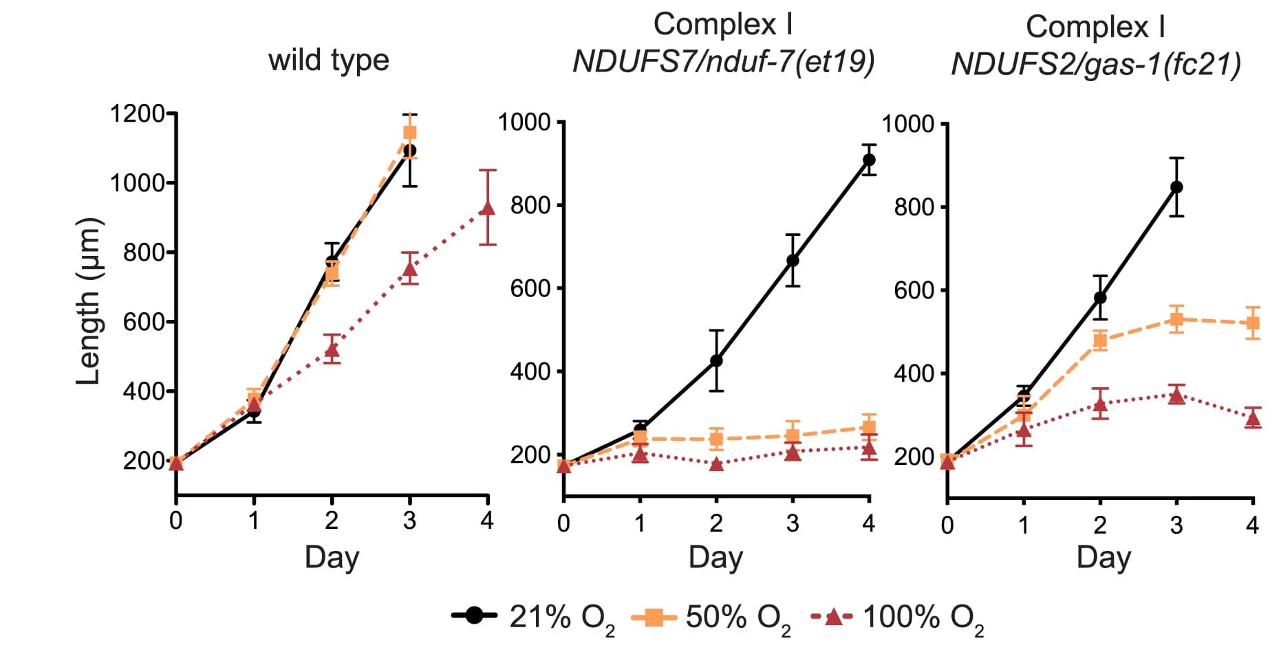 Open access visualization of Line Plot, Error Bars, Animal Growth, Oxygen Levels, L1 Synchronization