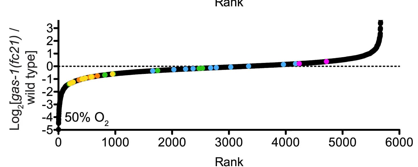 Open access visualization of Line Plot, Scatter Plot, TMT Quantitative Proteomics, Proteins, Peptides