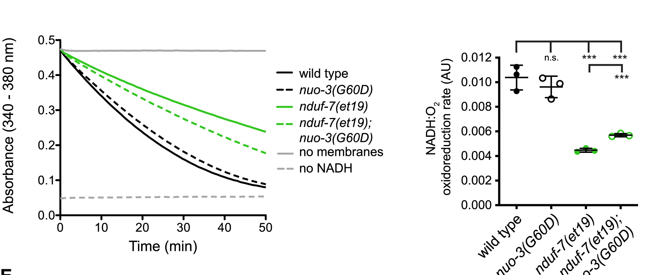 Open access visualization of Line Plot, Scatter Plot, Error Bars, Complex I, NADH