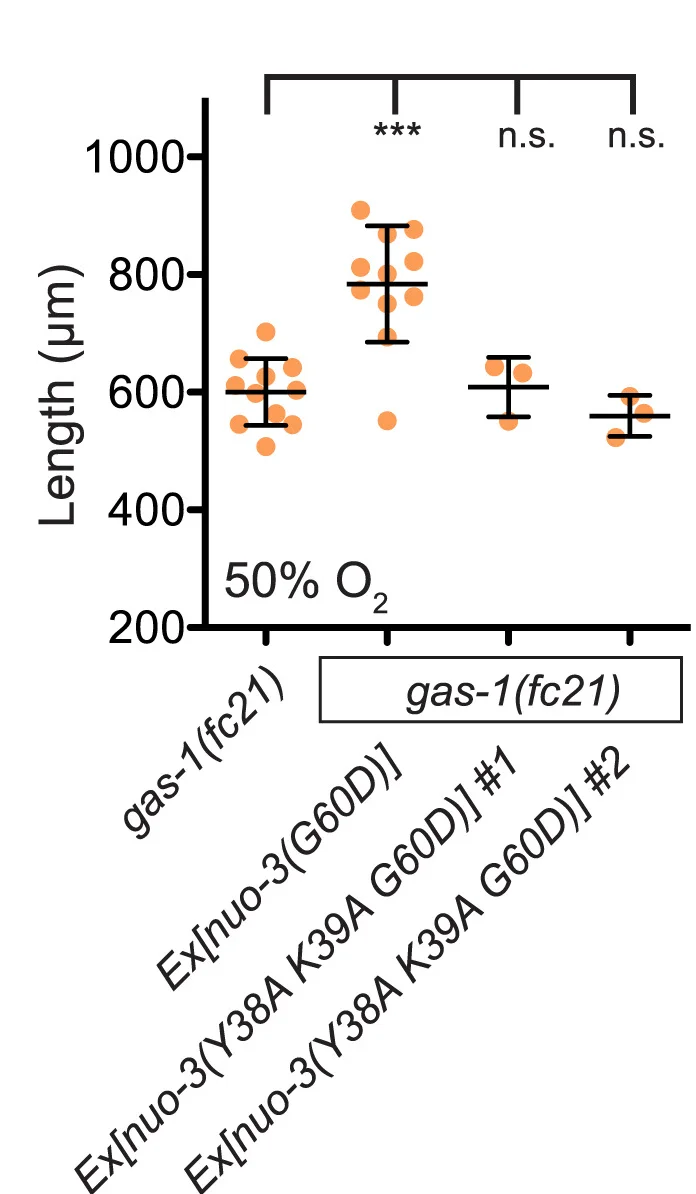 Open access visualization of Scatter Plot, Error Bars, Animal Growth, Oxygen Levels