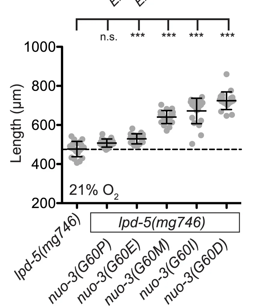 Open access visualization of Scatter Plot, Error Bars, Animal Growth, Oxygen Levels, Temperature