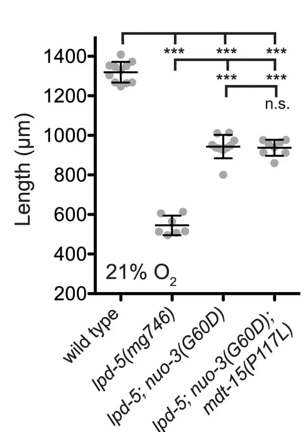 Open access visualization of Scatter Plot, Error Bars, Animal Growth, Oxygen, Room Temperature