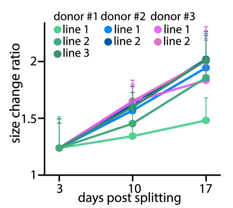 Open access visualization of Line Plot, Error Bars, FeBO, Size Change, Quantification