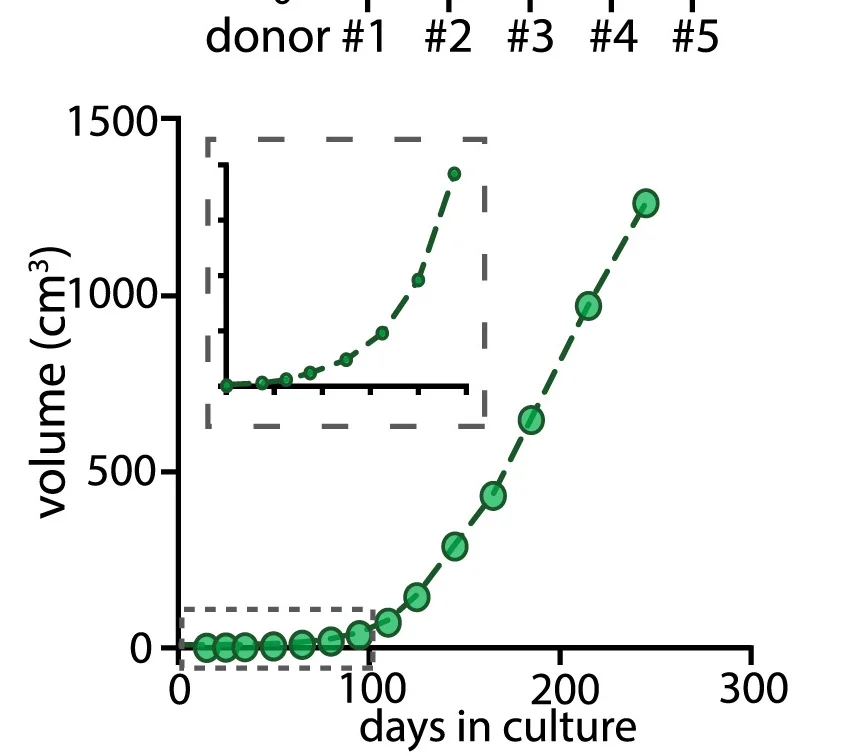 Open access visualization of Line Plot, Biomass, FeBO, Expansion