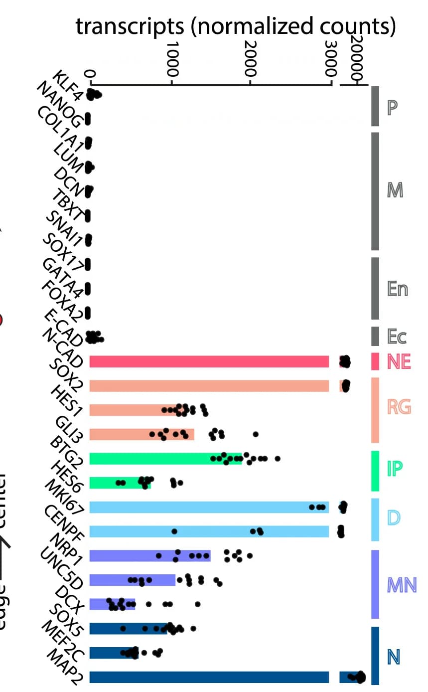 Open access visualization of Bar Plot, Scatter Plot, Gene Expression, FeBO, RNA Sequencing