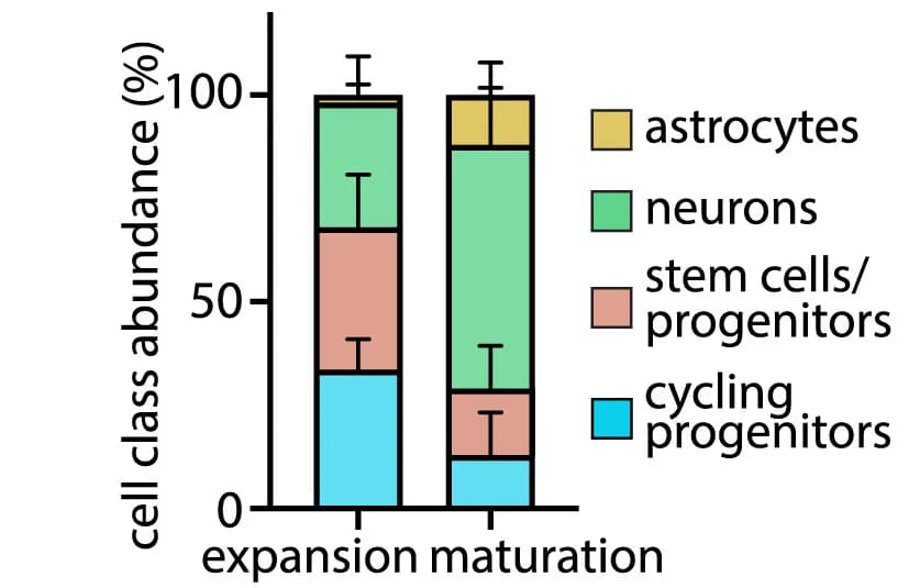 Open access visualization of Stacked Bar Plot, Error Bars, Cell Class Abundance, Expanding FeBOs, Matured FeBOs