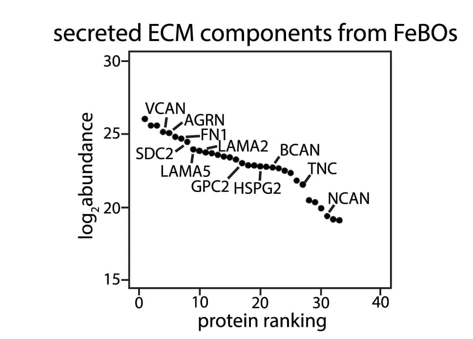 Open access visualization of Line Plot, Scatter Plot, Matrisome Proteins, FeBOs, Secretome