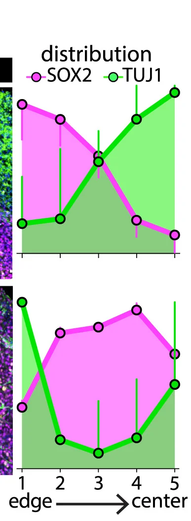 Open access visualization of Line Plot, Error Bars, Microscopy, Cell Type Distribution, 4-Methylumbelliferone