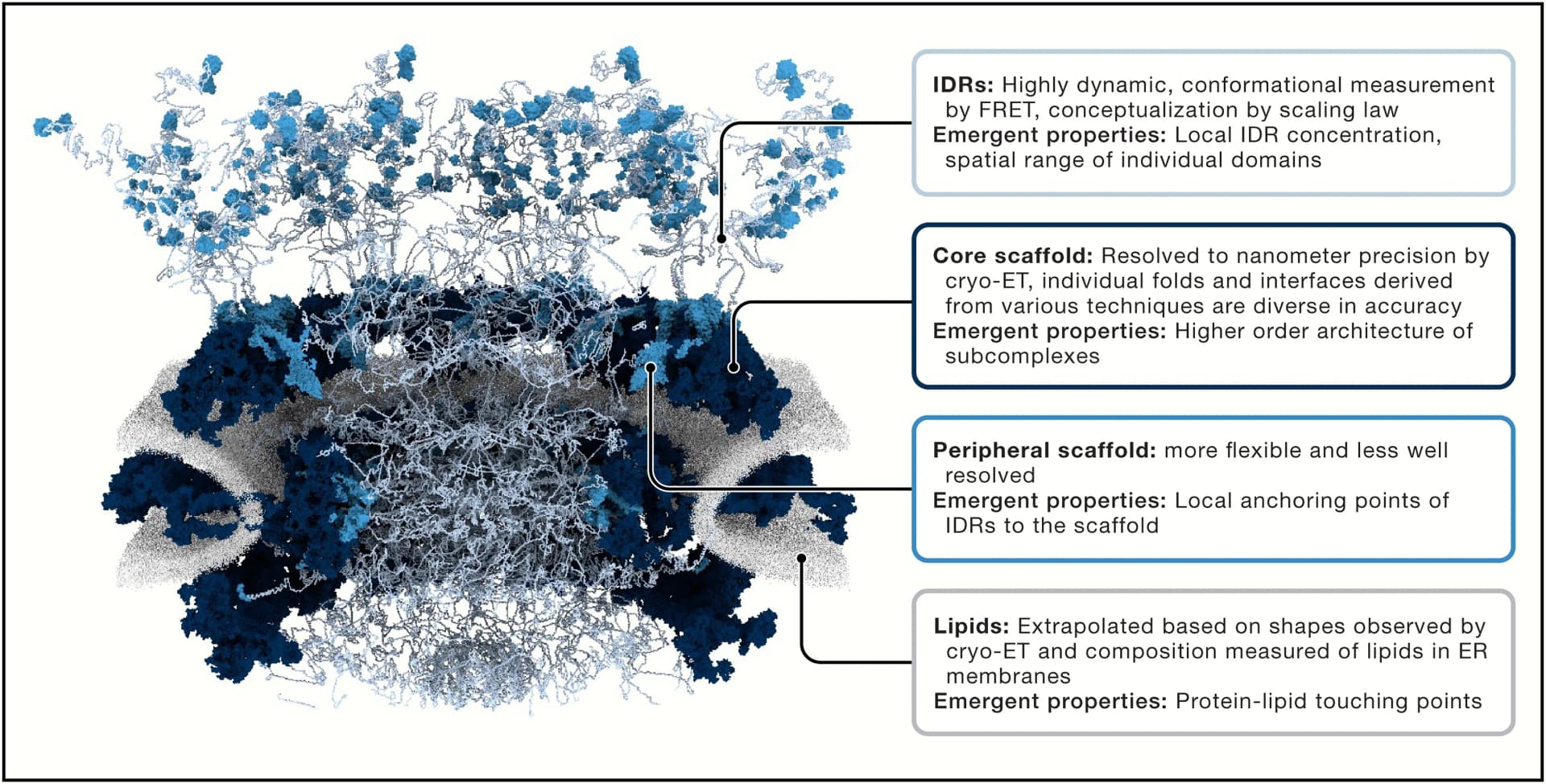 Open access visualization of Protein Structure, Structural Model, Molecular Dynamics Simulations, Accuracy, Data Types