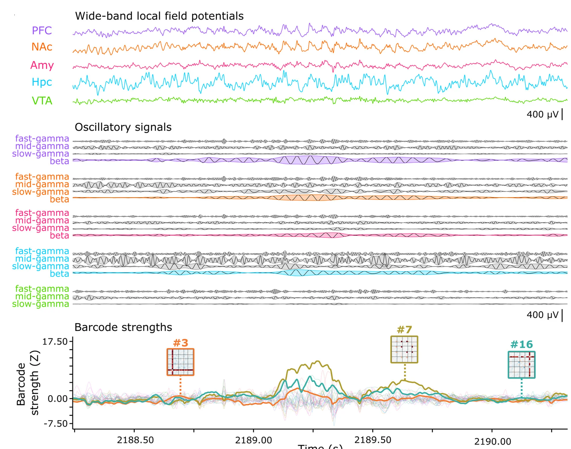 Open access visualization of Line Plot, LFP Traces, High-Frequency Signals, Beta-Band, Gamma-Bands