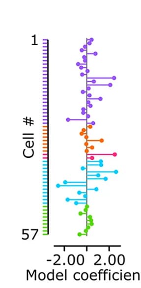 Open access visualization of Scatter Plot, Error Bars, Weight Vector, Cell Contribution, Population Decoding