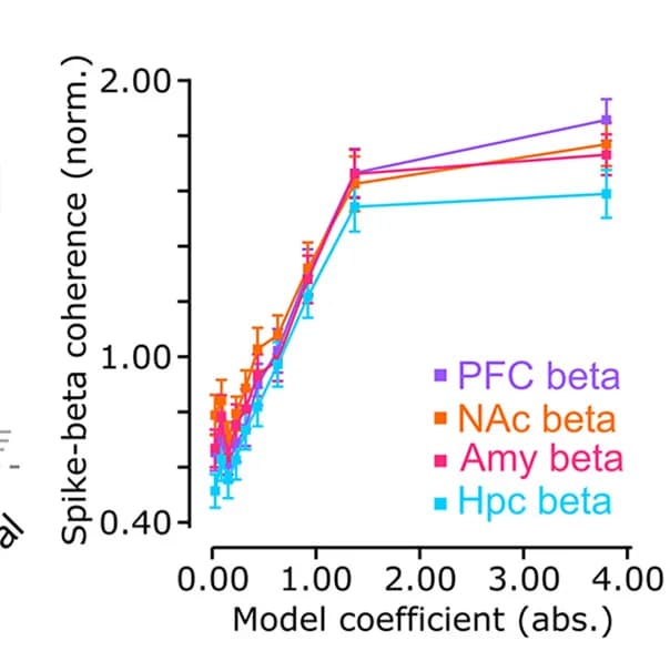 Open access visualization of Line Plot, Error Bars, Population Decoding, Spike-Beta Coherence
