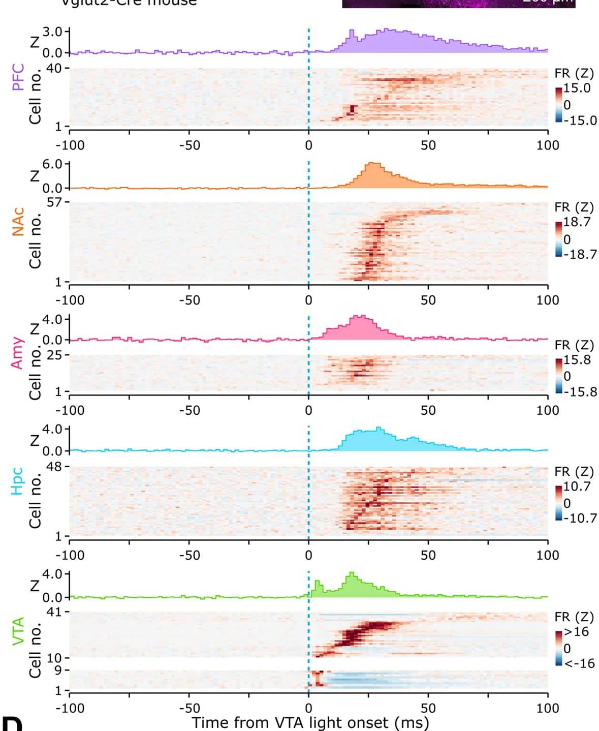 Open access visualization of Line Plot, Heatmap, VTA, Neurons, Neuronal Firing