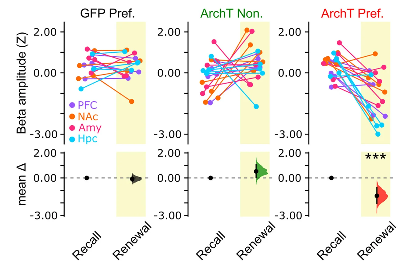 Open access visualization of Line Plot, Scatter Plot, Violin Plot, Beta Power, Cocaine-LED-Oriented Behavior