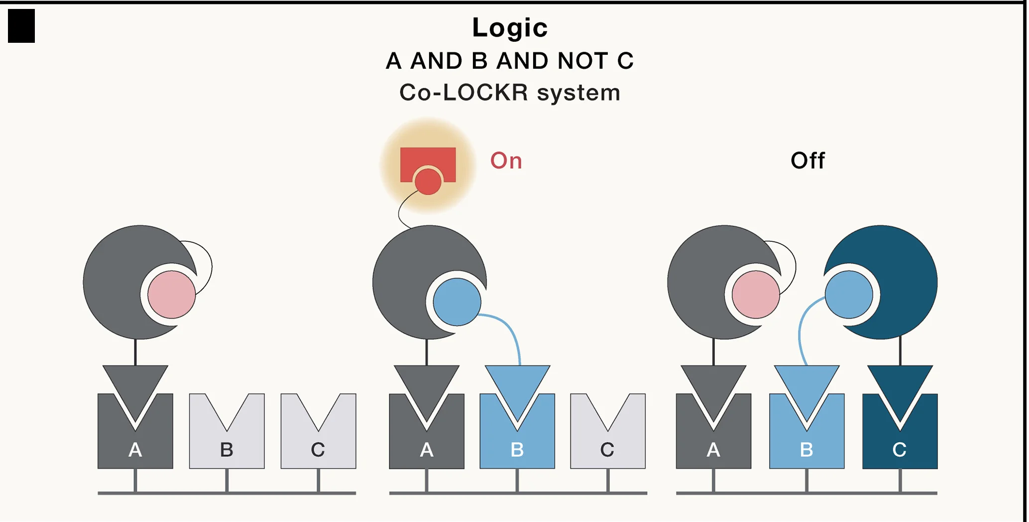 Open access visualization of Workflow, Illustration, Co-LOCKR System, Logic Operations, Receptors