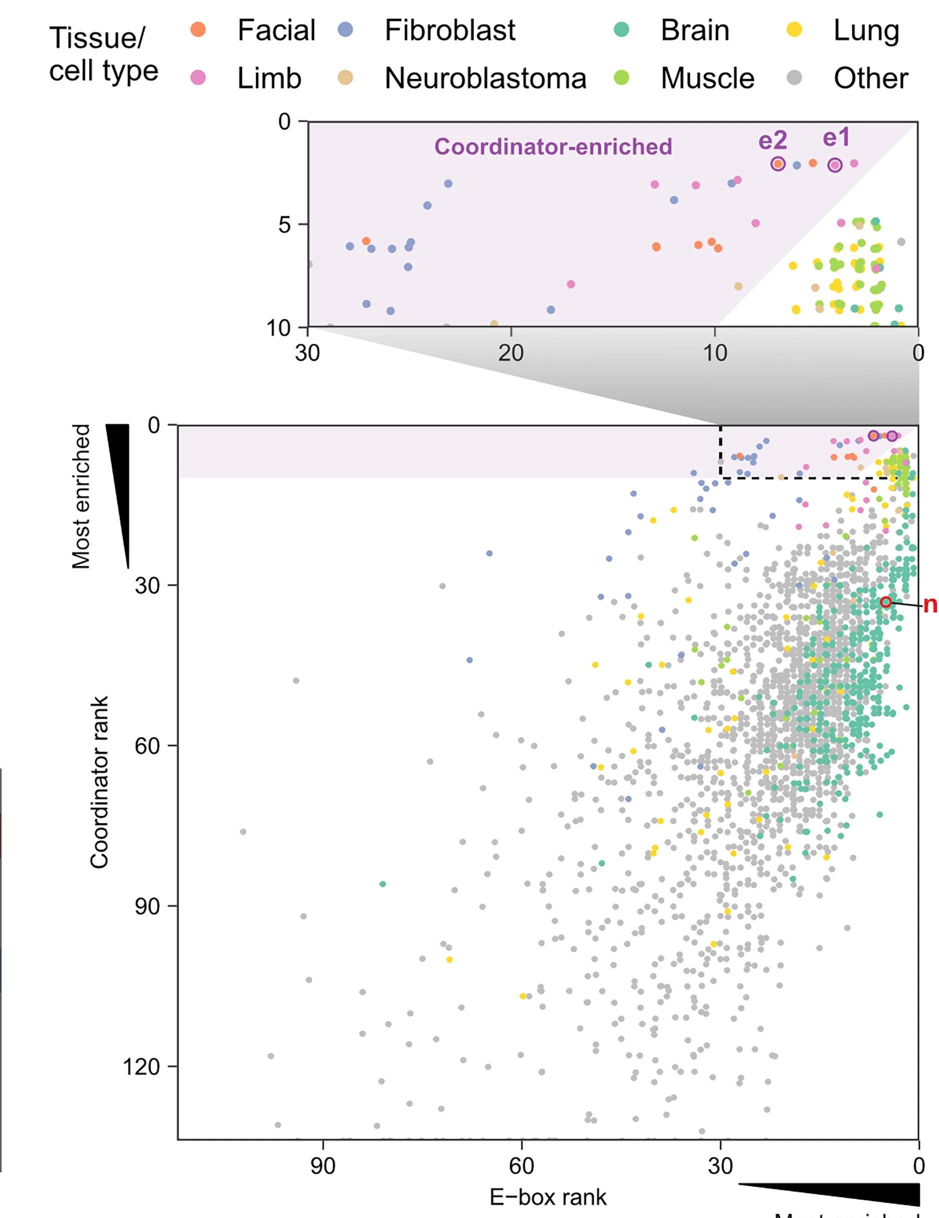 Open access visualization of Scatter Plot, Coordinator, E-box Motif, CAGATGG Motif, ENCODE