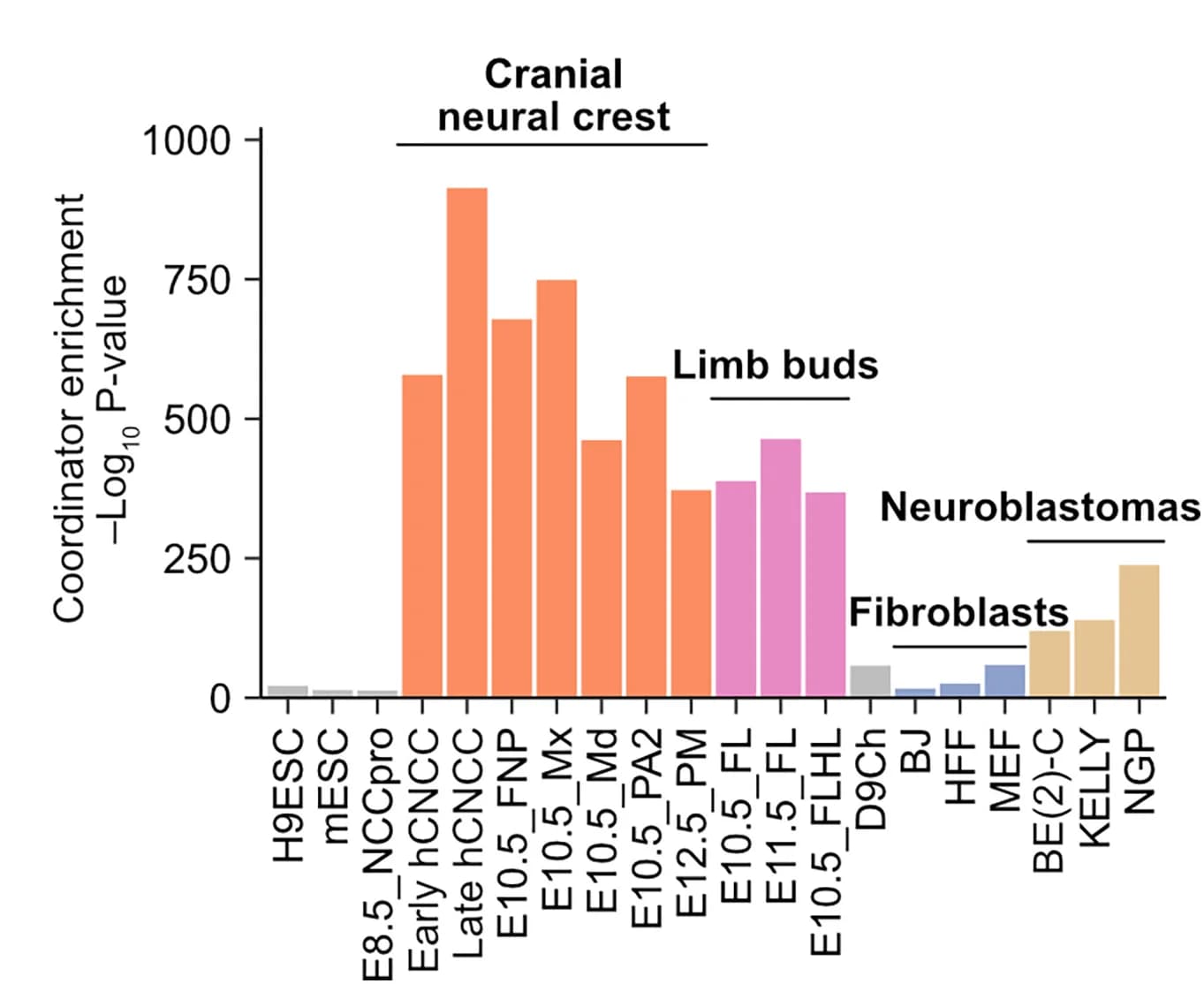 Open access visualization of Bar Plot, Coordinator Motif, ATAC-seq, Datasets