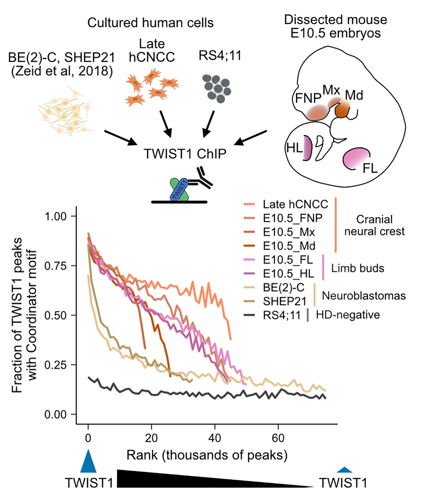 Open access visualization of Line Plot, Illustration, Workflow, TWIST1, ChIP-seq
