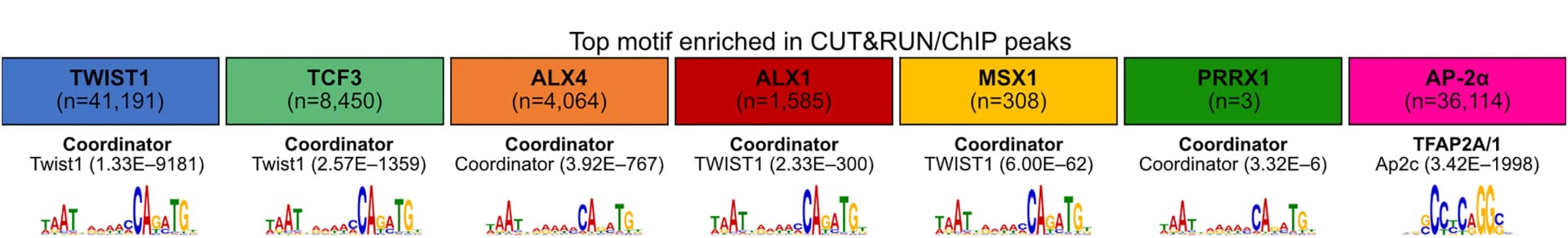 Open access visualization of Illustration, Motif Enrichment, Transcription Factors, P-value