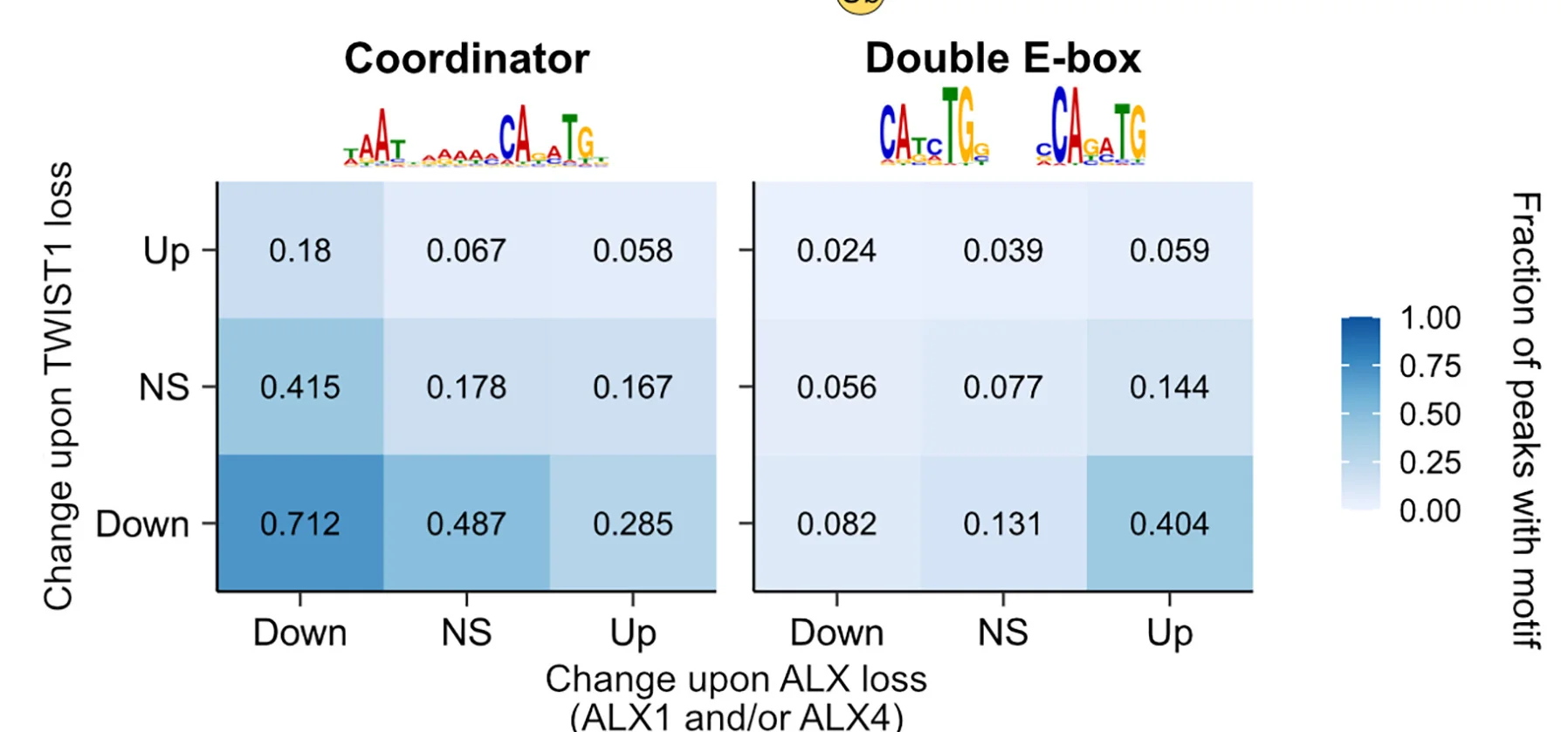 Open access visualization of Heatmap, Motif Enrichment, TWIST1, ALX