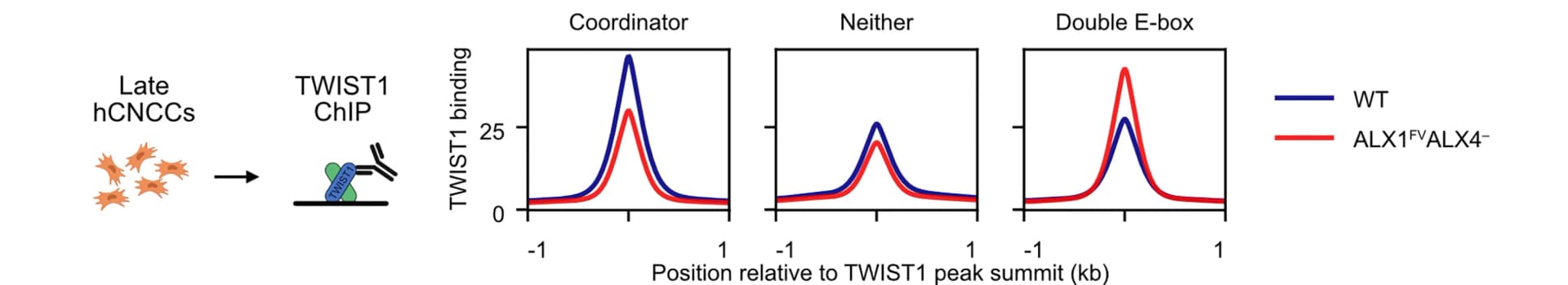 Open access visualization of Line Plot, Workflow, Illustration, TWIST1, ChIP-seq