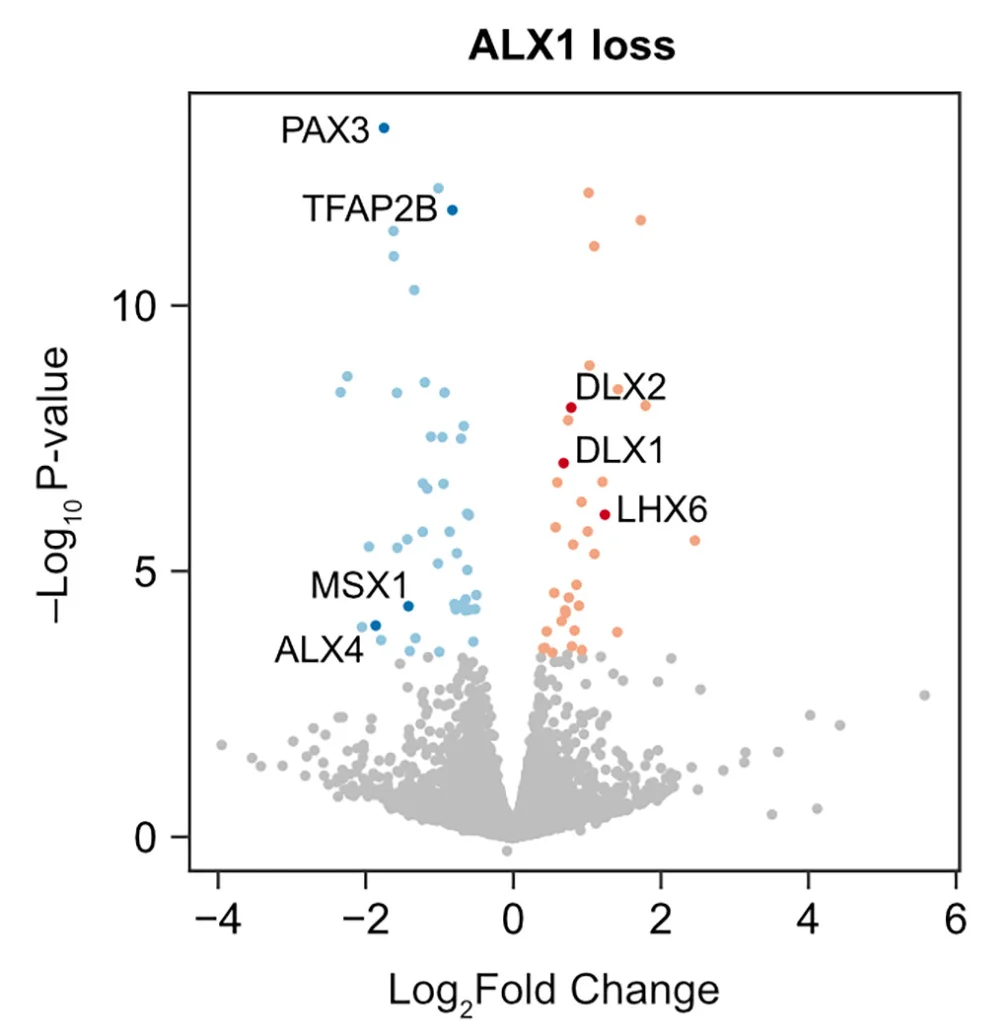 Open access visualization of Scatter Plot, Regression Plot, Volcano Plot, Gene Expression, ALX1
