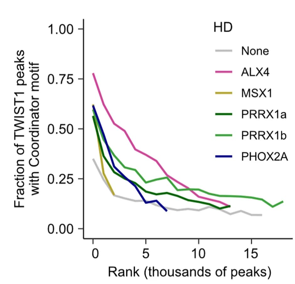 Open access visualization of Line Plot, TWIST1, Coordinator Motif, Homeodomain, Protein Levels
