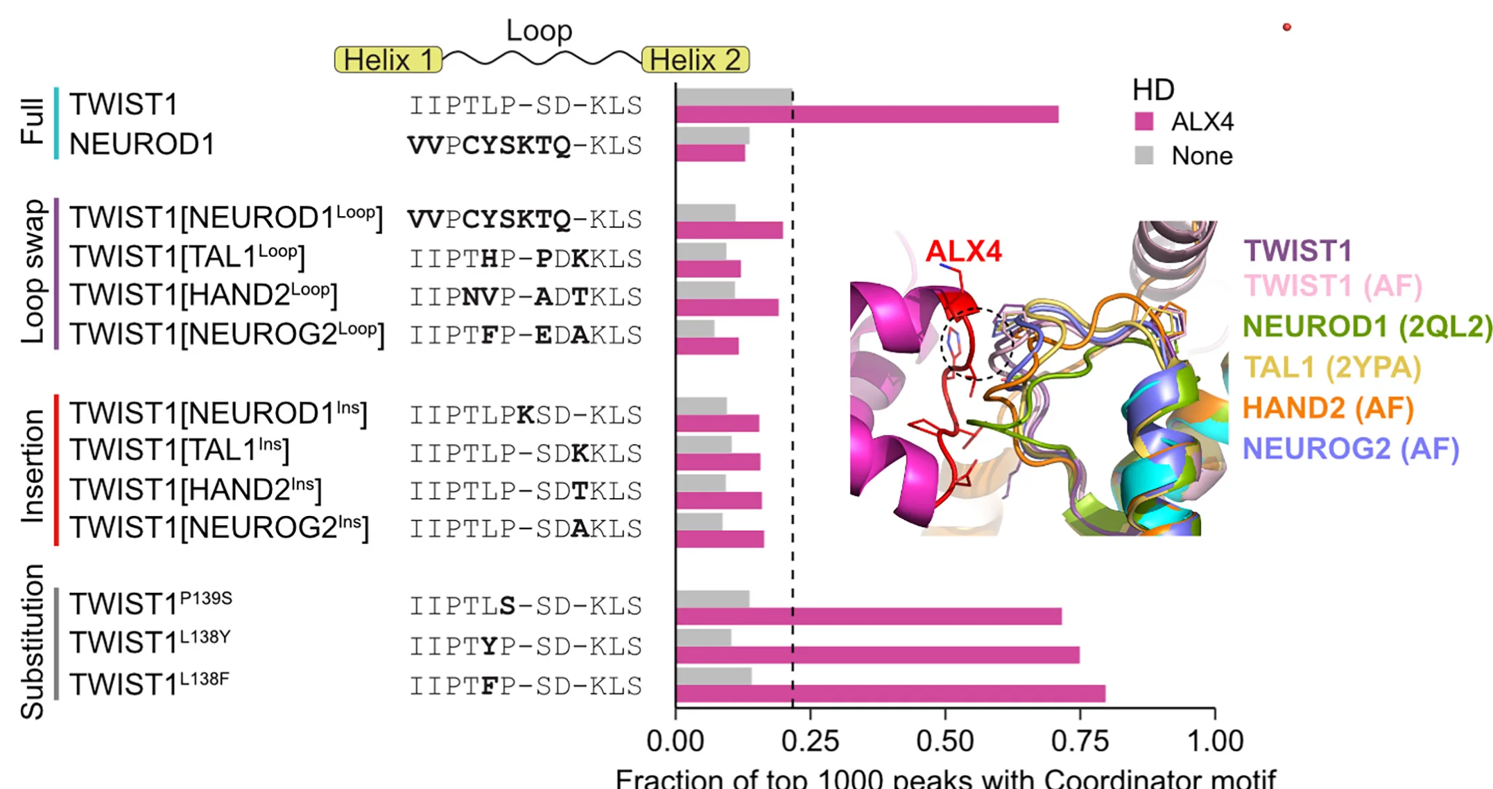 Open access visualization of Bar Plot, Protein Structure, Coordinator Motif, TWIST1, HEK293 Cells