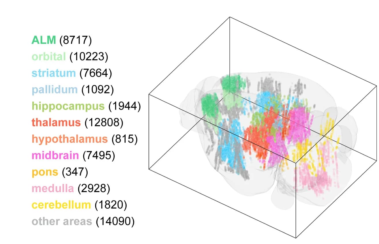 Open access visualization of 3D Plot, Dataset Summary, Quality Control, Brain Area, Neurons