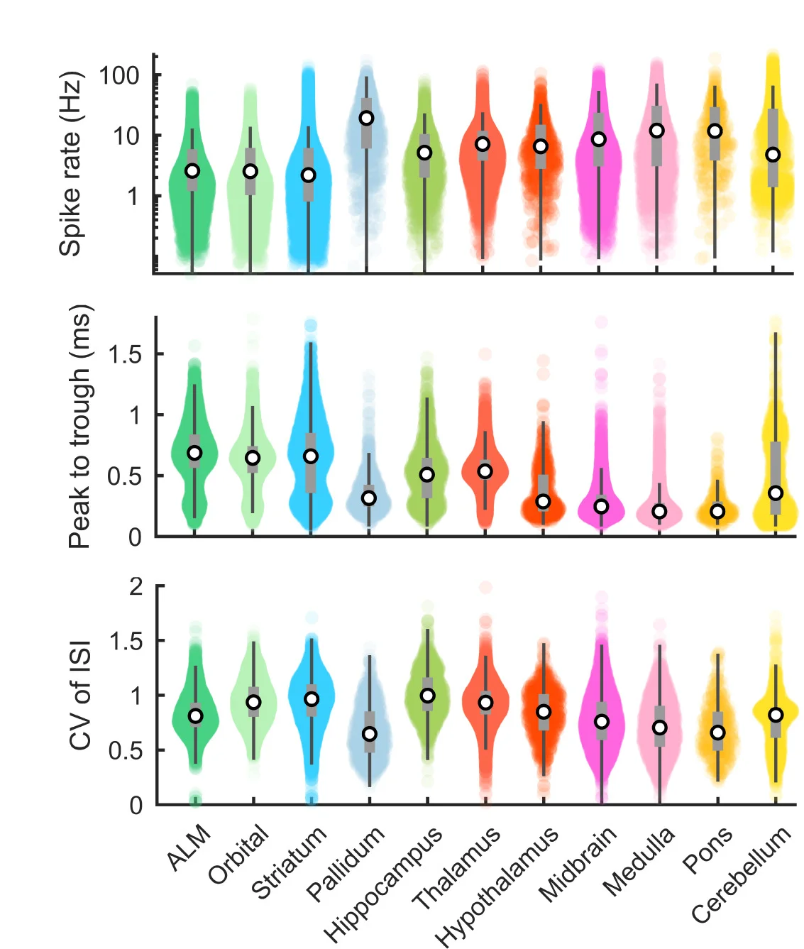 Open access visualization of Violin Plot, Box Plot, Raincloud Plot, Spike Rate, Spike Width