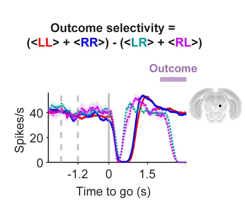 Open access visualization of Line Plot, Error Bars, Outcome Selectivity, Correct Response, Neuron