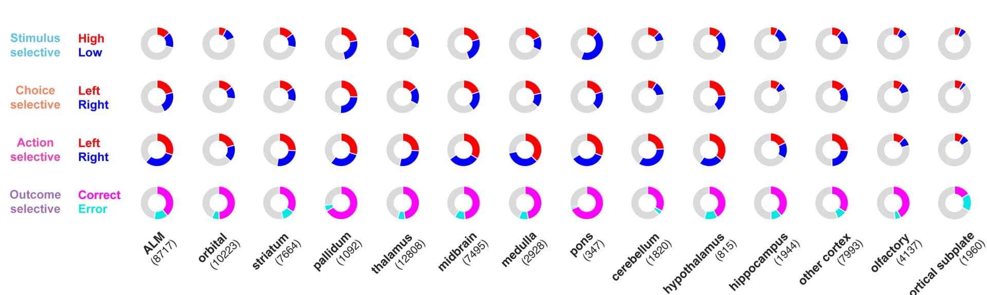 Open access visualization of Donut Chart, Selective Neurons, Brain Areas, Proportions