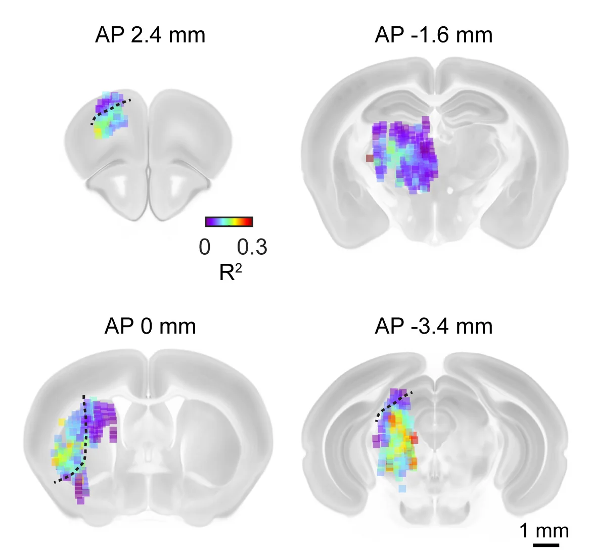 Open access visualization of Heatmap, Movement Encoding, Brain Areas, ALM, Thalamus