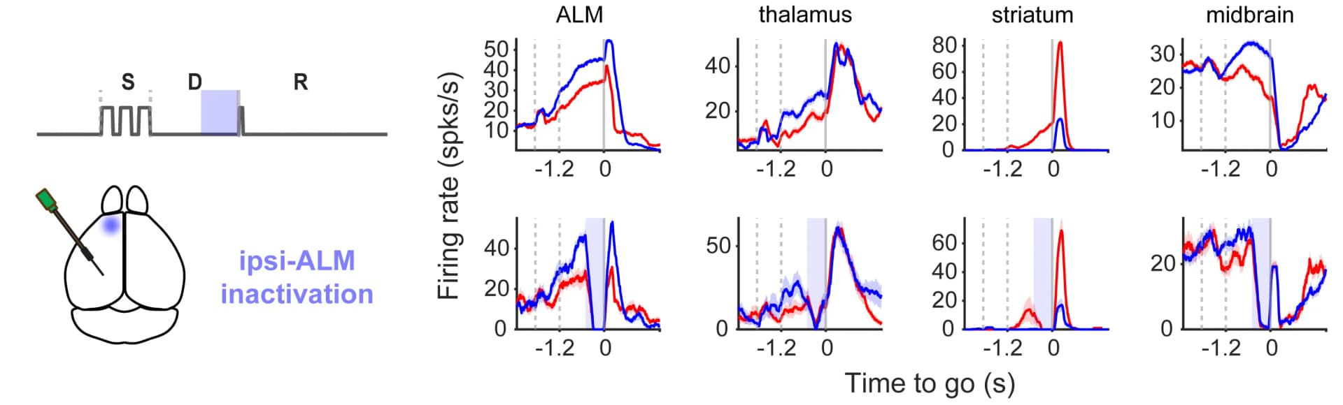 Open access visualization of Line Plot, Illustration, Photoinhibition, ALM, Neurons