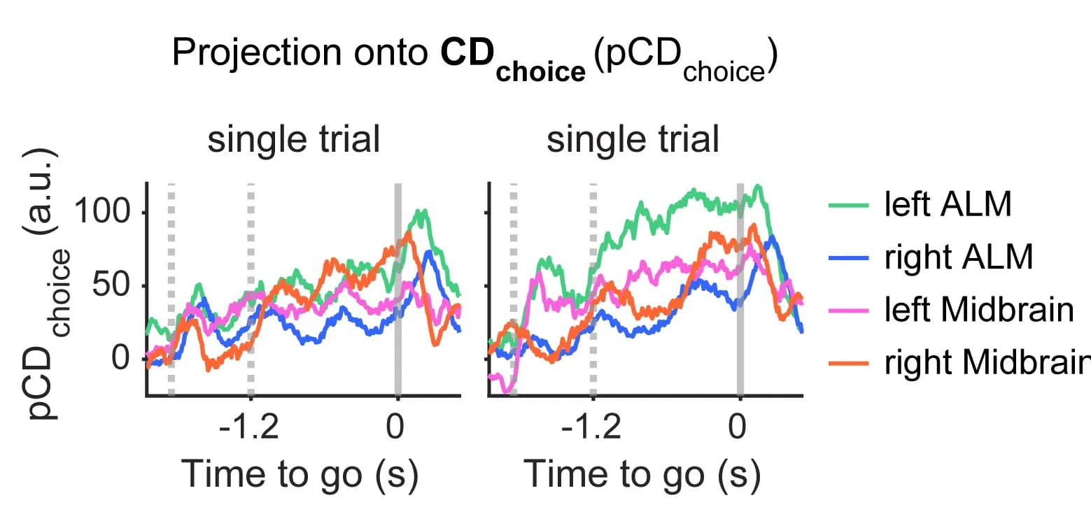 Open access visualization of Line Plot, Brain Areas, ALM, Midbrain, Lick-Right Trial