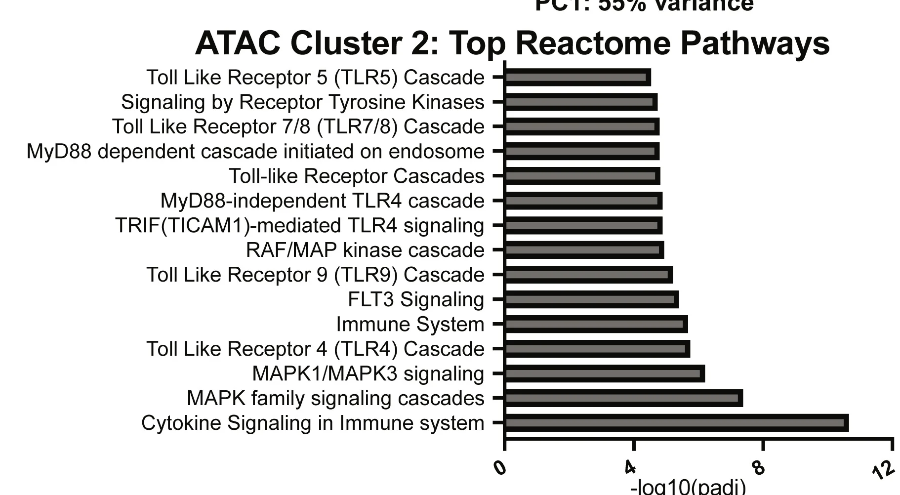 Open access visualization of Bar Plot, Reactomes, Genomic Regions, Cluster 2