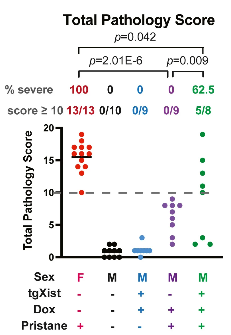 Open access visualization of Scatter Plot, Pathophysiology Damage, Fisher's Exact Test, FDR
