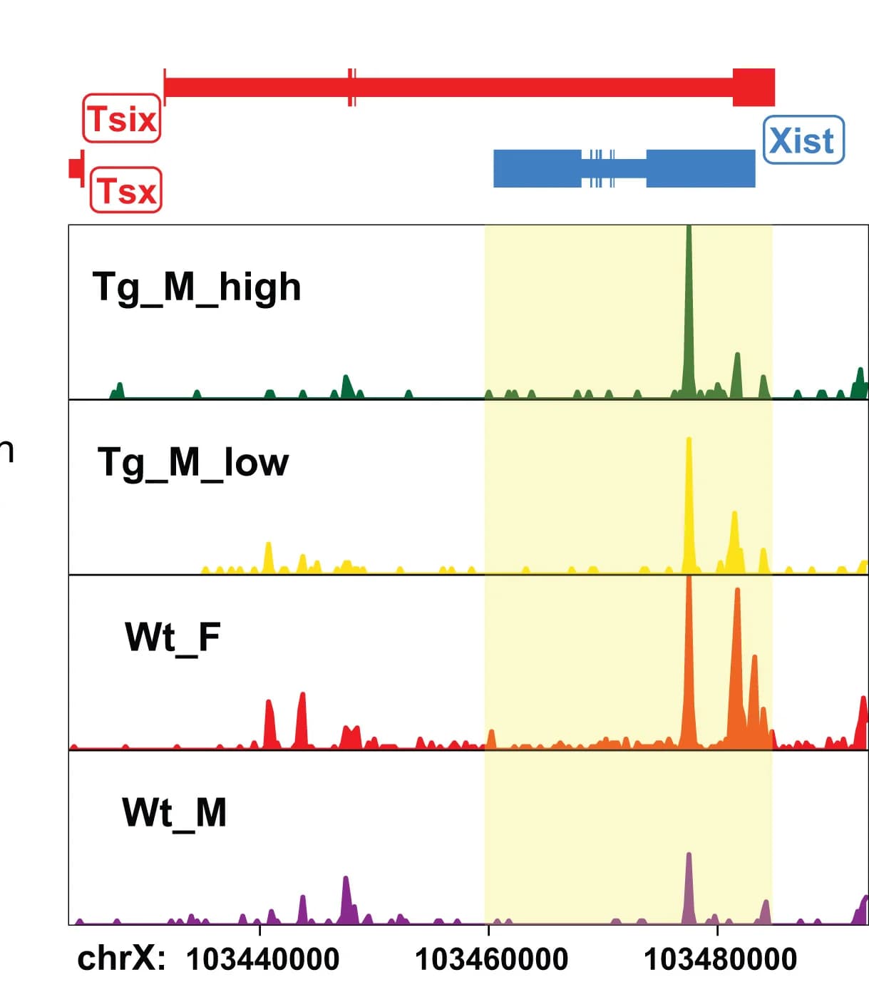 Open access visualization of Line Plot, Xistpeak Tracks, Pristane-Treated Mouse Groups, tgXist Male, Wild-Type Male
