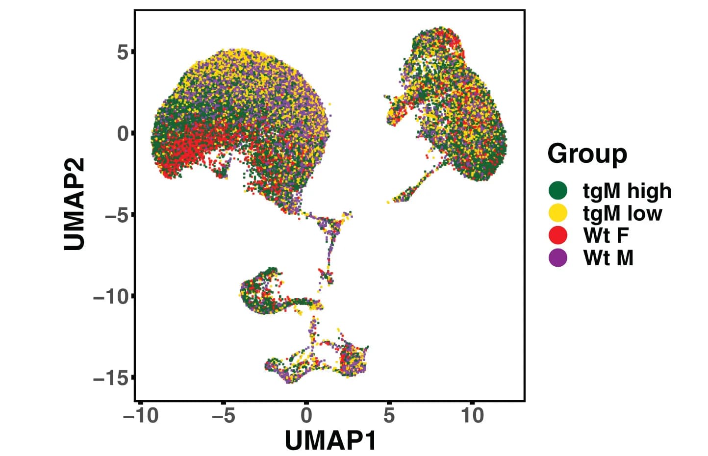 Open access visualization of Scatter Plot, UMAP, Pristane-Treated Mouse, Single-Cell Gene Expression