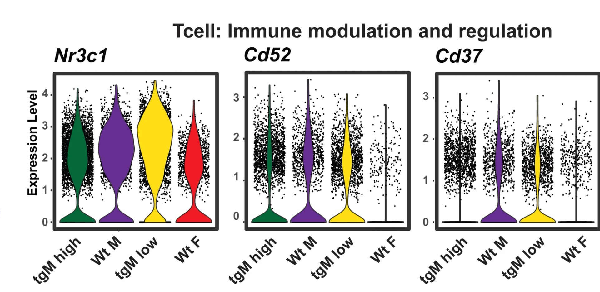 Open access visualization of Violin Plot, Scatter Plot, T Cell, Differentially Expressed Genes, Pristane-Treated Mouse
